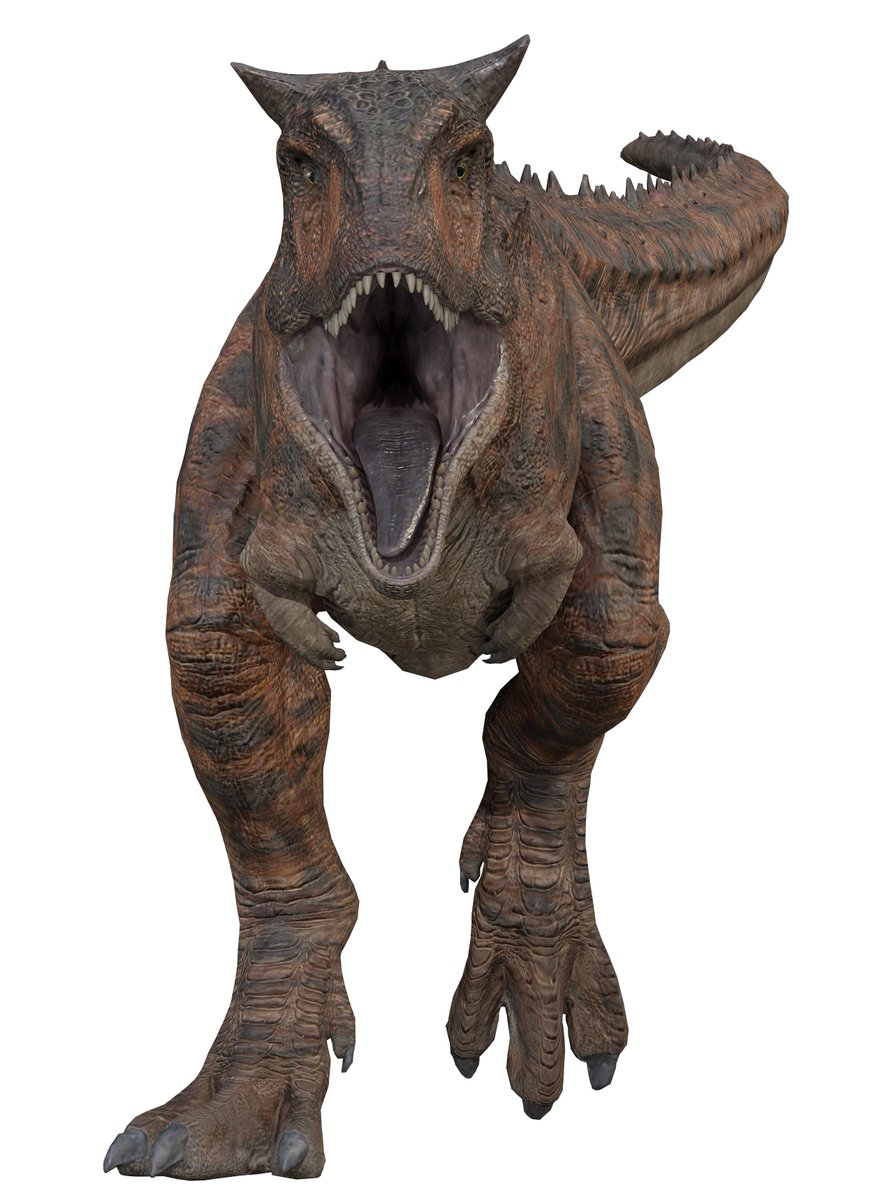 Lukiethewesly13 tweet media