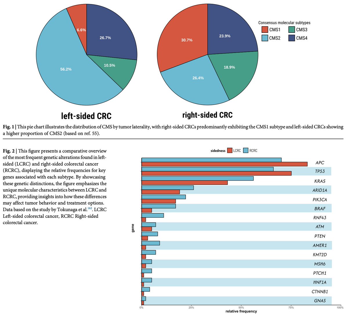 drtahuahua's tweet photo. Multidimensional differences in Right vs Left sided Colorectal Ca

R &amp; L CRC differ in tumor biology, clinical behavior &amp; response to targeted therapy

Shifting from sidedness to molecular classification may better guide treatment decisions @OncoAlert 
https://t.co/jf7fTbybPg https://t.co/w6HvujX3NH