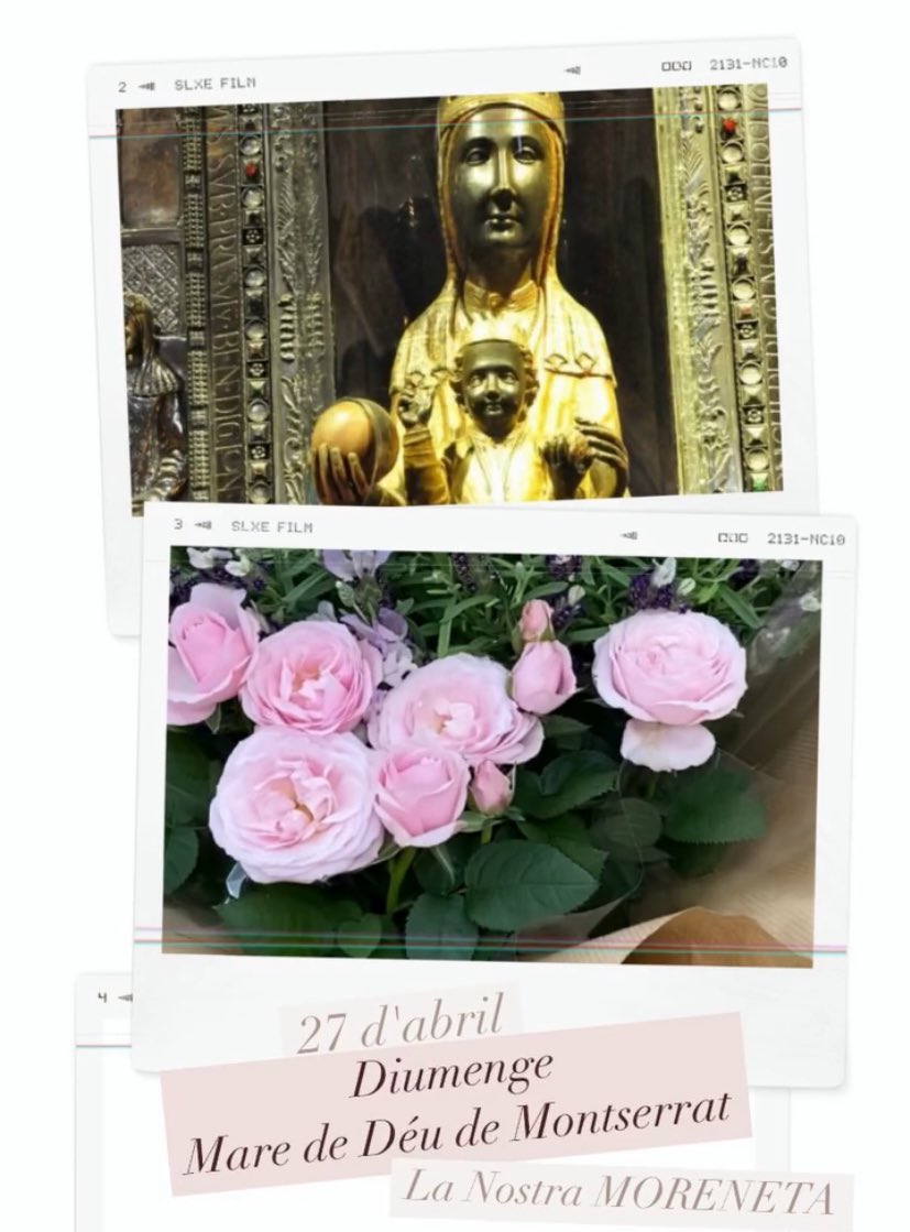 Si voleu algun ram o detall floral per les vostres Montses, obrim dissabte al matí!