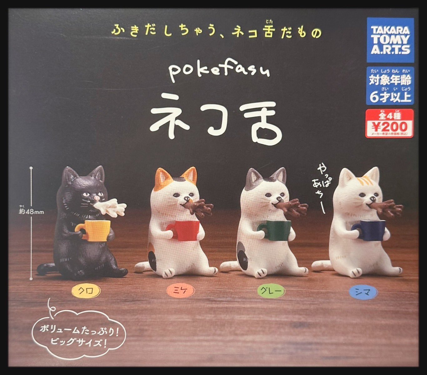 猫と金魚｜株式会社キタンクラブ