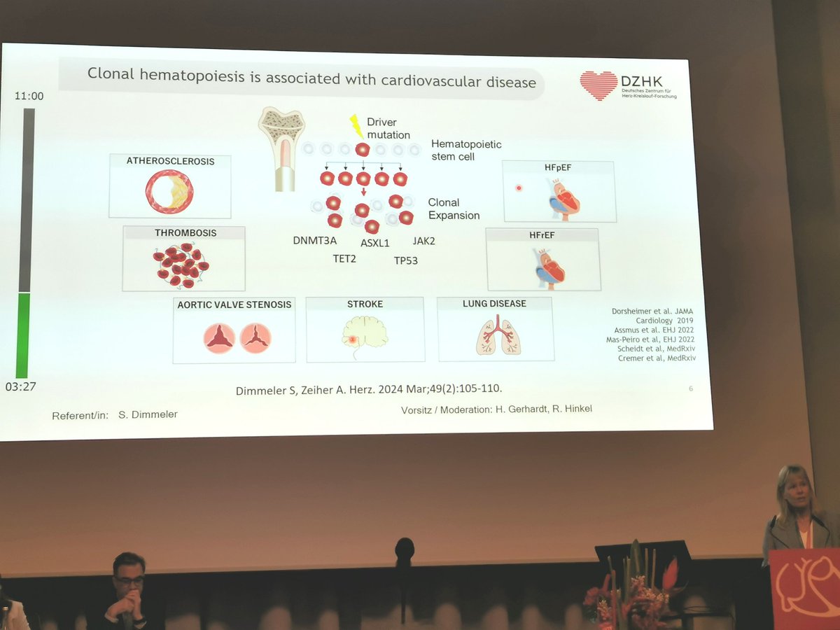 DZHK Germany (@dzhk_germany) on Twitter photo At the #DGK2025, <a href="/StefanieDimmel1/">Stefanie Dimmeler</a> highlighted the growing link between clonal hematopoiesis and cardiovascular disease – from stroke to heart failure. Fascinating insights into a critical research field! <a href="/DGK_org/">Deutsche Gesellschaft für Kardiologie</a> #CardioResearch At the #DGK2025, <a href="/StefanieDimmel1/">Stefanie Dimmeler</a> highlighted the growing link between clonal hematopoiesis and cardiovascular disease – from stroke to heart failure. Fascinating insights into a critical research field! <a href="/DGK_org/">Deutsche Gesellschaft für Kardiologie</a> #CardioResearch