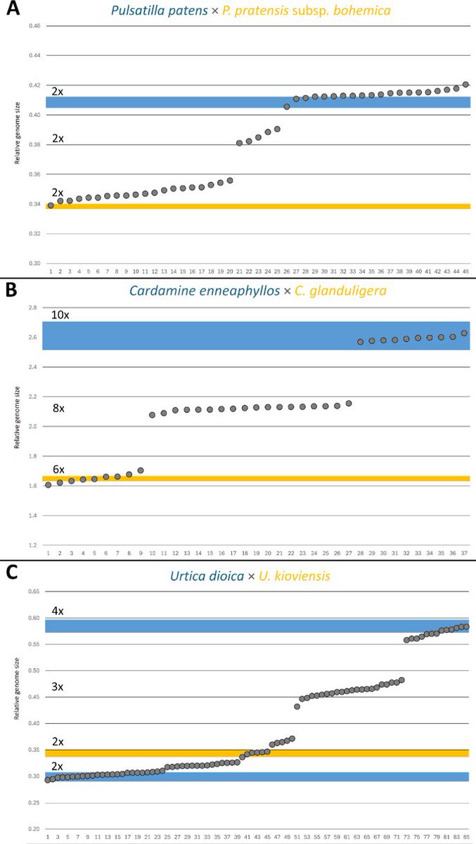 Did you know? : Flow-cytometry can effectively provide initial insights into the presence of potential hybrids in endangered plant taxa.

Study just published: rdcu.be/ejgB1