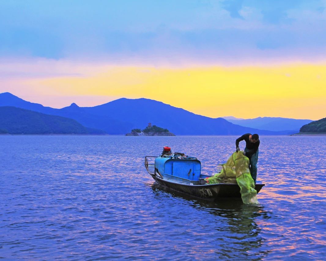 DiscoverJilin's tweet photo. After a winter of hunger beneath the ice, the river awakens, and the fish emerge with empty stomachs and delicate, tender meat. This is the legendary **‘River-Thaw Fish’(开江鱼)** — a fleeting spring delicacy at its peak freshness. 🐟✨
#JilininSpring #SpringCuisine https://t.co/ykIRd5TJy7