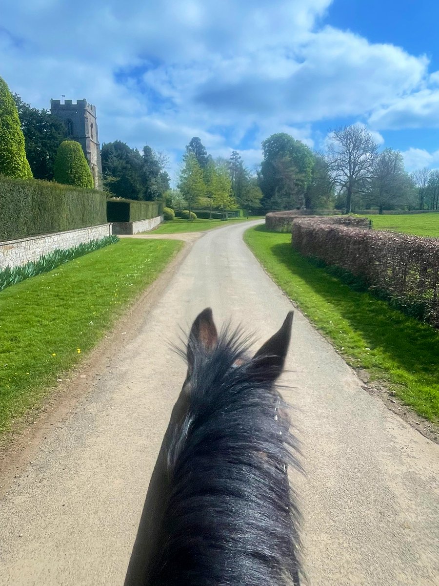 JockeyRach's tweet photo. Blue skies make me and Ruacana very happy 🩵
#rooster
#grade1winner
#mommasboy https://t.co/ullW26IkK5