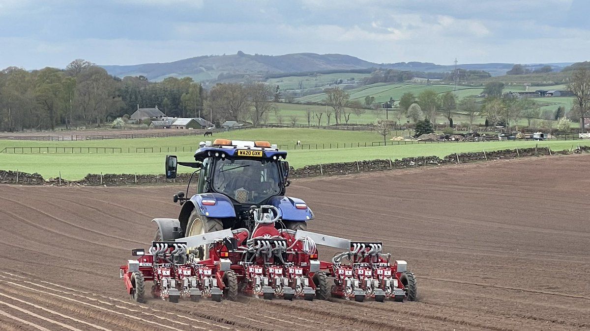 Mark Croal tweet media