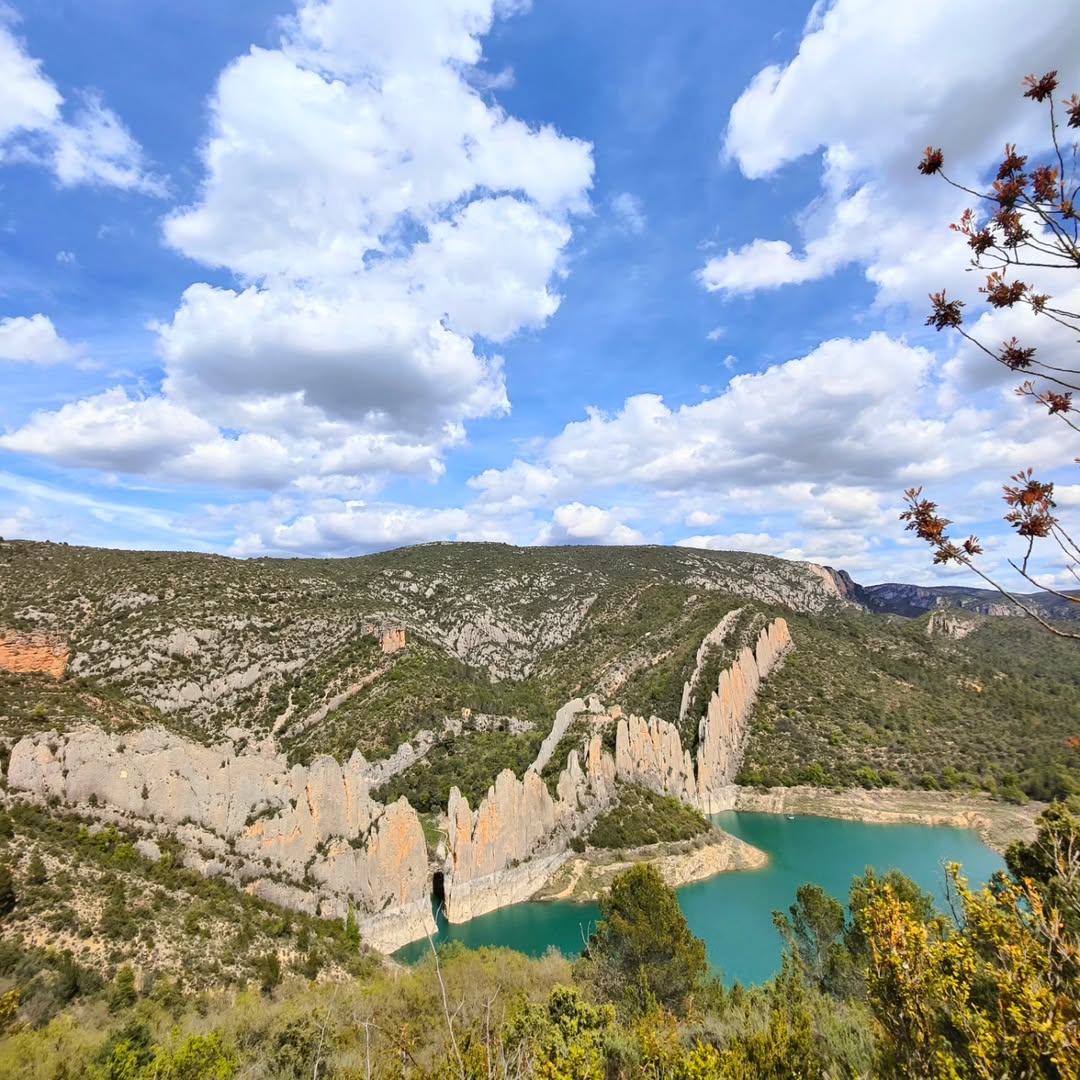 Huesca_LaMagia's tweet photo. La Muralla de #Finestres 💚, una auténtica obra de arte que nos brinda la naturaleza.
Fotos gracias a https://t.co/NW5OpEFEro
¡No olvides planificar tu visita con nuestra app! 📲 https://t.co/FWxOEim1nf https://t.co/OxDKe11bcb