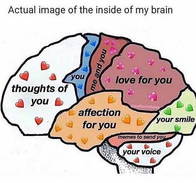 MeetMeDatingApp's tweet photo. When your brain is 100% love mode… 🤯❤️

Join and Meet🔗: https://t.co/q3pkTPWo7d
#MeetMe #love https://t.co/RIrIwiA1t1