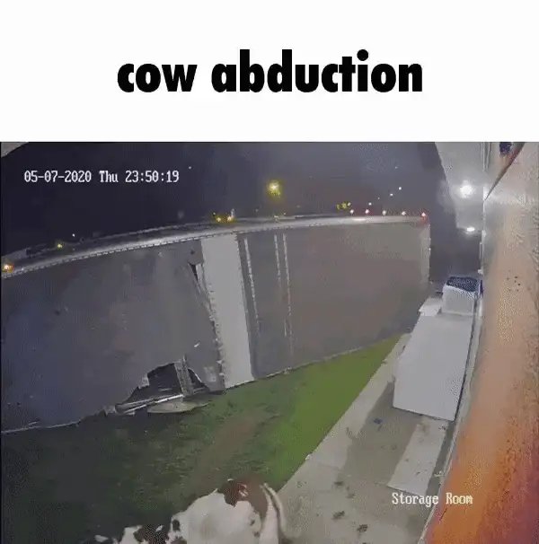 Cyan_Munchable's tweet photo. @shitpost_2077 https://t.co/ju6jNz1ozm
