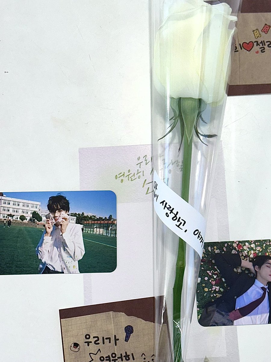 flower4new's tweet photo. 해시태그와 함께 후기를 남겨주신 분들 중
추첨을 통해 소정의 선물을 드립니다◡̈ 
(국내 배송지 한정)

❀ 𝟤𝟢𝟤𝟧.𝟢𝟦.𝟤𝟧~𝟤𝟢𝟤𝟧.𝟢𝟦.𝟤𝟨
❀ 상수 제스플뢰르

#Petals_For_You
#영원한_소년에게_꽃을

#더보이즈 #THEBOYZ #TBZ #NEW #뉴 #최찬희 https://t.co/5WdJ1FhspD
