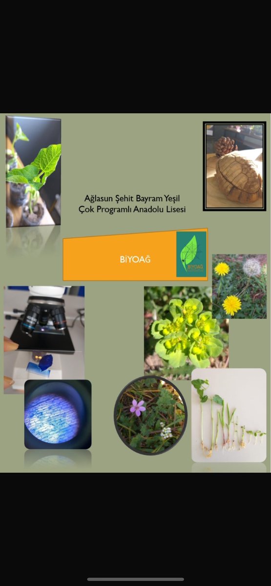 Biyoçeşitlilik ve çevre farkındalığını bütün öğrencilerde oluşturmak için "Biyoağ Biyoloji Laboratuvarı"mıza tüm okullarımızı davet ediyoruz. <a href="/AglasunMem/">Ağlasun İlçe Milli Eğitim Müdürlüğü</a> <a href="/AglasunK15/">Ağlasun Kaymakamlığı</a>