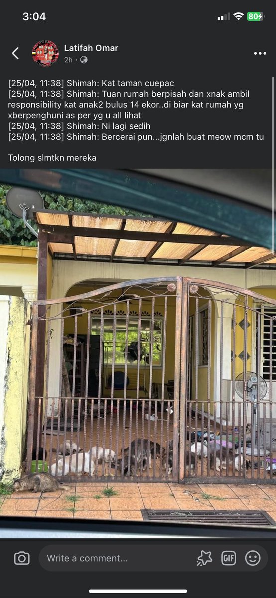 dearsln's tweet photo. Guys, ada orang tinggalkan kucing 14 ekor dekat rumah kosong sbb dah bercerai dgn partner. Haih https://t.co/4jTrf6Yhr6