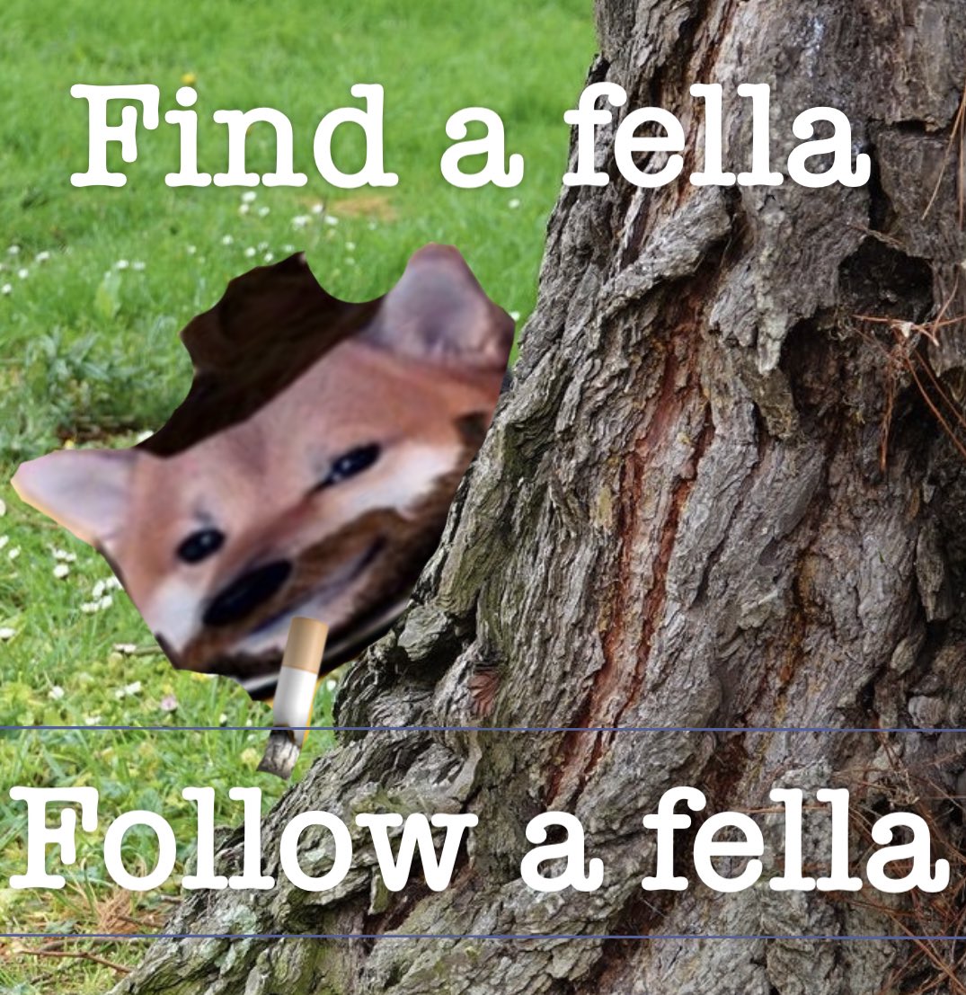 Fellas...
Find and follow...
It's Friday !
You know the drill !