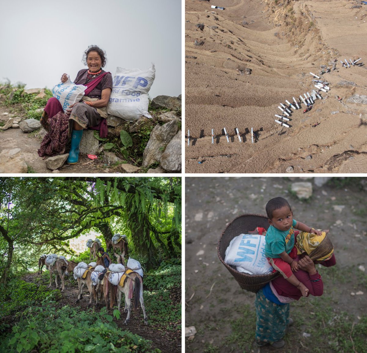 WFP_Nepal's tweet photo. Today marks ten years since the deadly earthquake in Nepal. 

@WFP provided logistics support to all humanitarian agencies. The Kathmandu Humanitarian Staging Area, which was just a month old then, enabled us to reach 2M+ people with emergency food &amp; nutrition within 6 weeks. https://t.co/Nl90ckQ0In