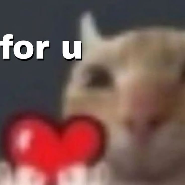 MeetMeDatingApp's tweet photo. Come collect your love memes. You’ll need them. 💌 https://t.co/f8fKOKebhl