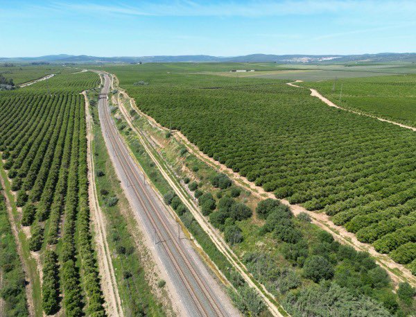 Ministerio Transportes y Movilidad Sostenible tweet media