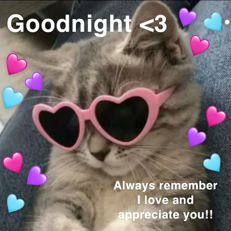 MeetMeDatingApp's tweet photo. Come collect your love memes. You’ll need them. 💌 https://t.co/f8fKOKebhl