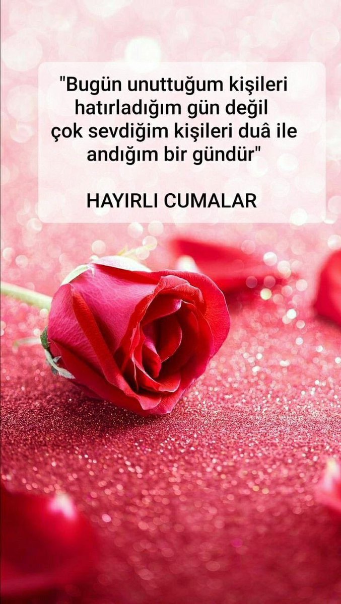 krm_prmk's tweet photo. @gerdagm https://t.co/aHIaO5Amcp
