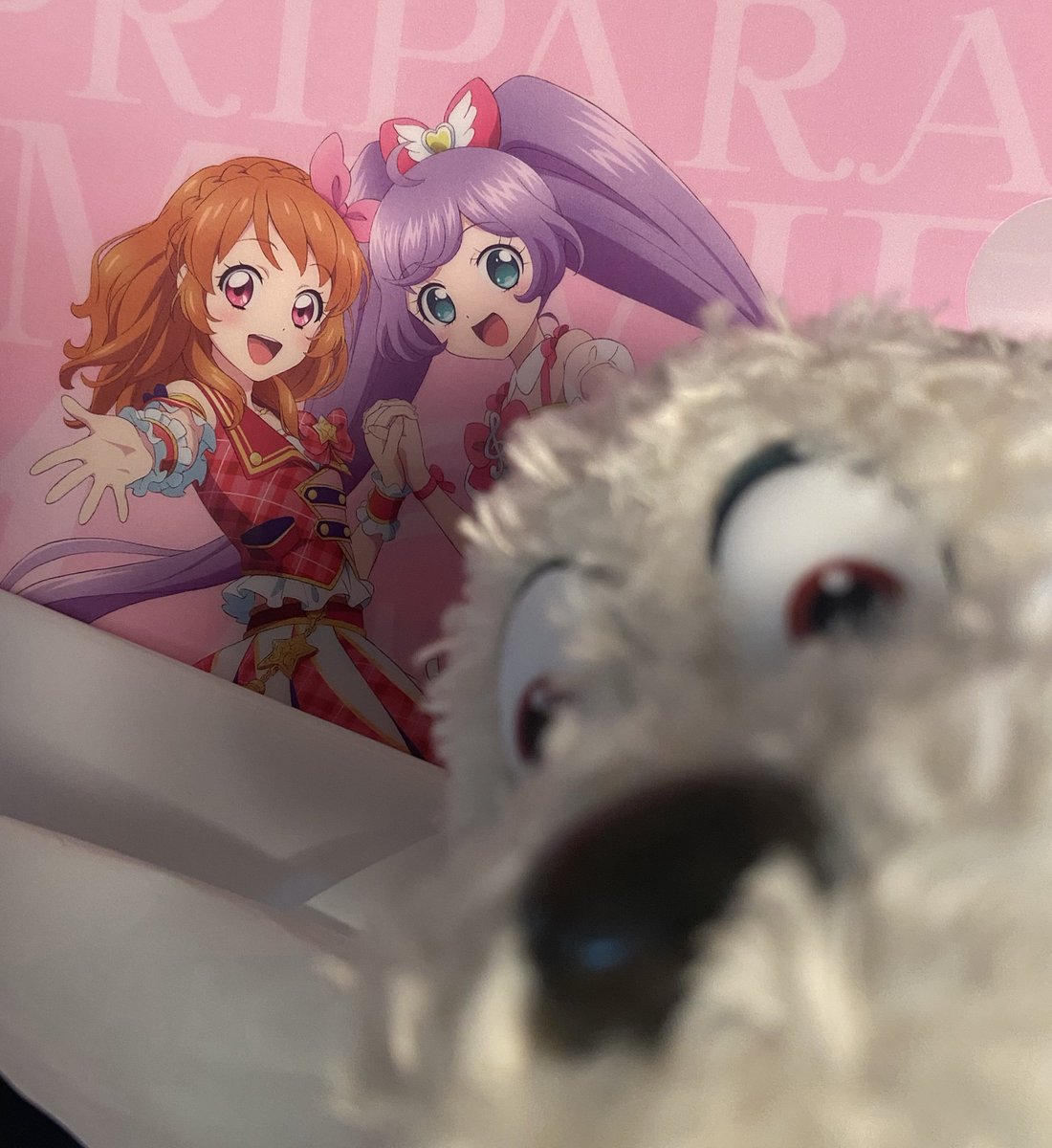 oneonecho's tweet image. 