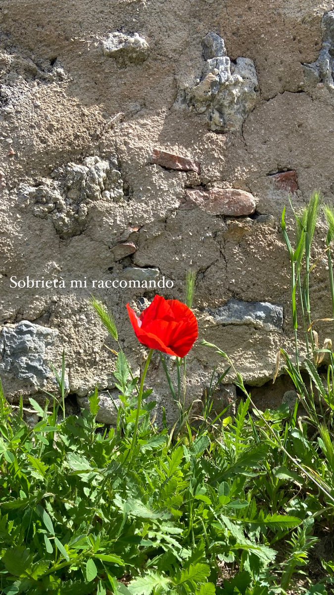 Mi raccomando sobri eh.
#25Aprile2025