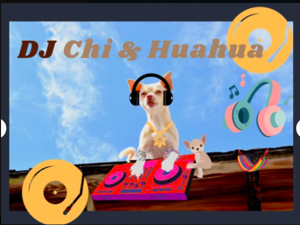 InessaW29's tweet photo. https://t.co/84FzUAnrcH…

Funny Dog Dog Dj Chihuahua Musician T-Shirt 

designed and sold by Lovemydesigns 

#MHHSBD #Pets #DJ #photos #art #gifts #viral #photoart #design #djparty #merch #tshirt #dogman #TShirtDesign #DoggingAction #gifts #ChihuahuaCapital #CHIHUAHA https://t.co/rw0H0MigTa