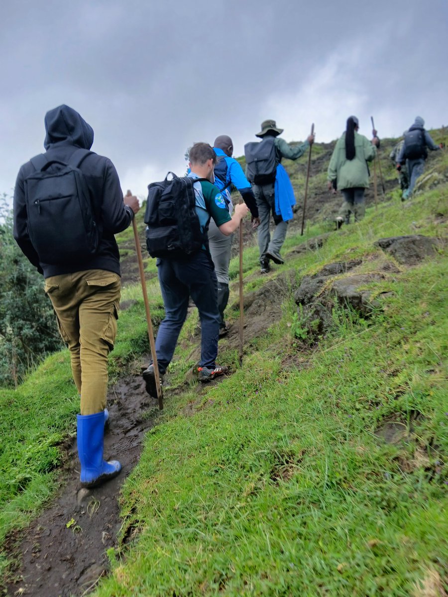 VISIT TWIN LAKES ( Burera and Ruhondo) (@twinlakes100) on Twitter photo Hiking outdoor adventure is about creating memorable experiences, embracing the beauty of nature, and guiding adventurers through the scenic trails.
📍Mt Mwiko
#TwinLakes
<a href="/visitrwanda_now/">Visit Rwanda</a> |<a href="/RwandaisOpen/">Rwanda Is Open 🇷🇼</a> Hiking outdoor adventure is about creating memorable experiences, embracing the beauty of nature, and guiding adventurers through the scenic trails.
📍Mt Mwiko
#TwinLakes
<a href="/visitrwanda_now/">Visit Rwanda</a> |<a href="/RwandaisOpen/">Rwanda Is Open 🇷🇼</a>