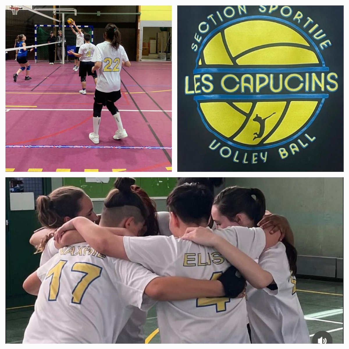 Collège Les Capucins tweet media