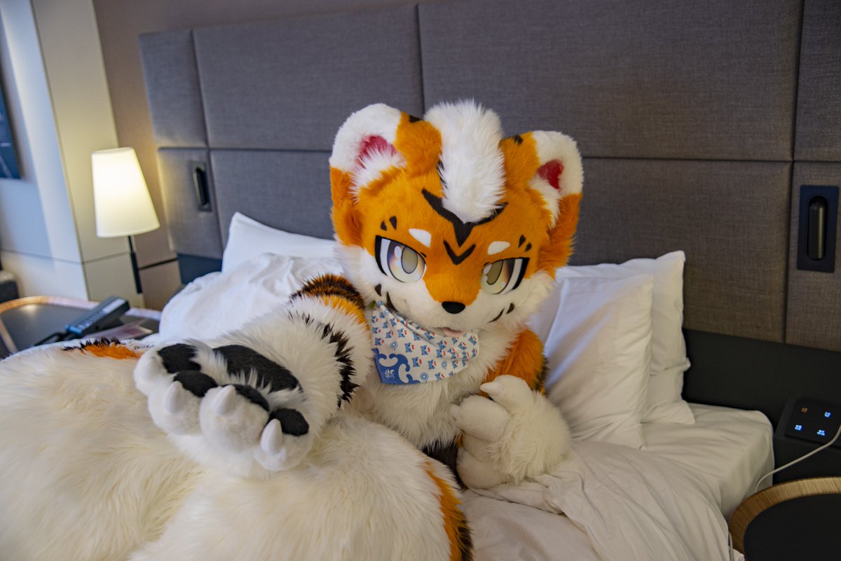 baicai_coin's tweet image. “小老虎向你发起组队睡觉邀请...”
#FursuitFriday
毛替：@FoxKohaku