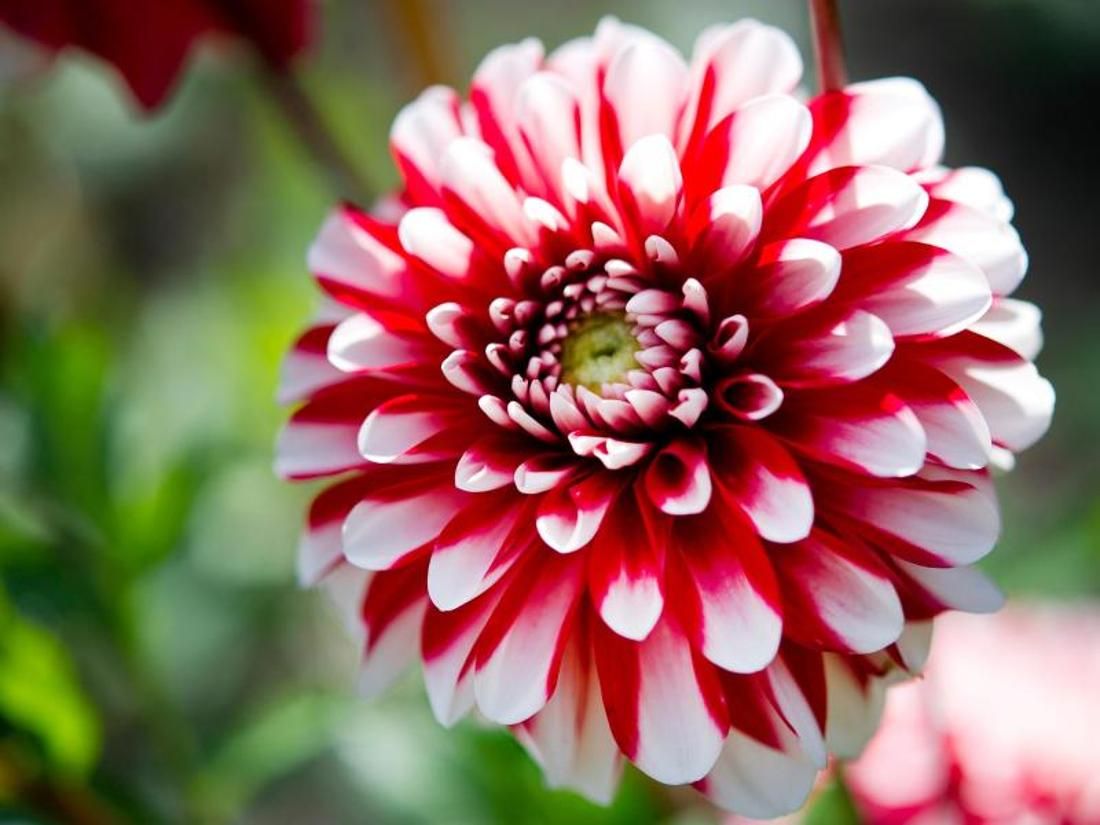 LieseAnne93756's tweet photo. Enjoy your day https://t.co/XFFeROpM6I