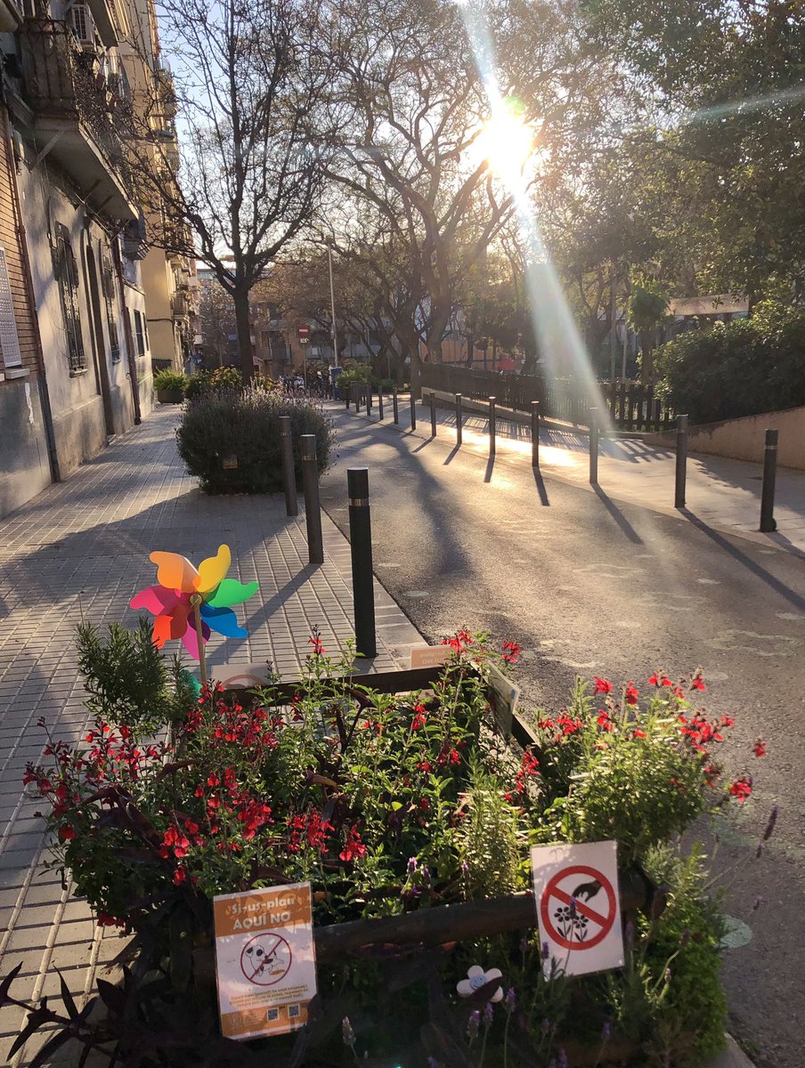 DanielSererols's tweet photo. Terra compartida, floreix al peu de l’arbre l’amor del barri.

#Haiku #Escocells #PlaçadelaFarga #Civisme #FemBarri #Barcelona https://t.co/Jh6lS4RC7s