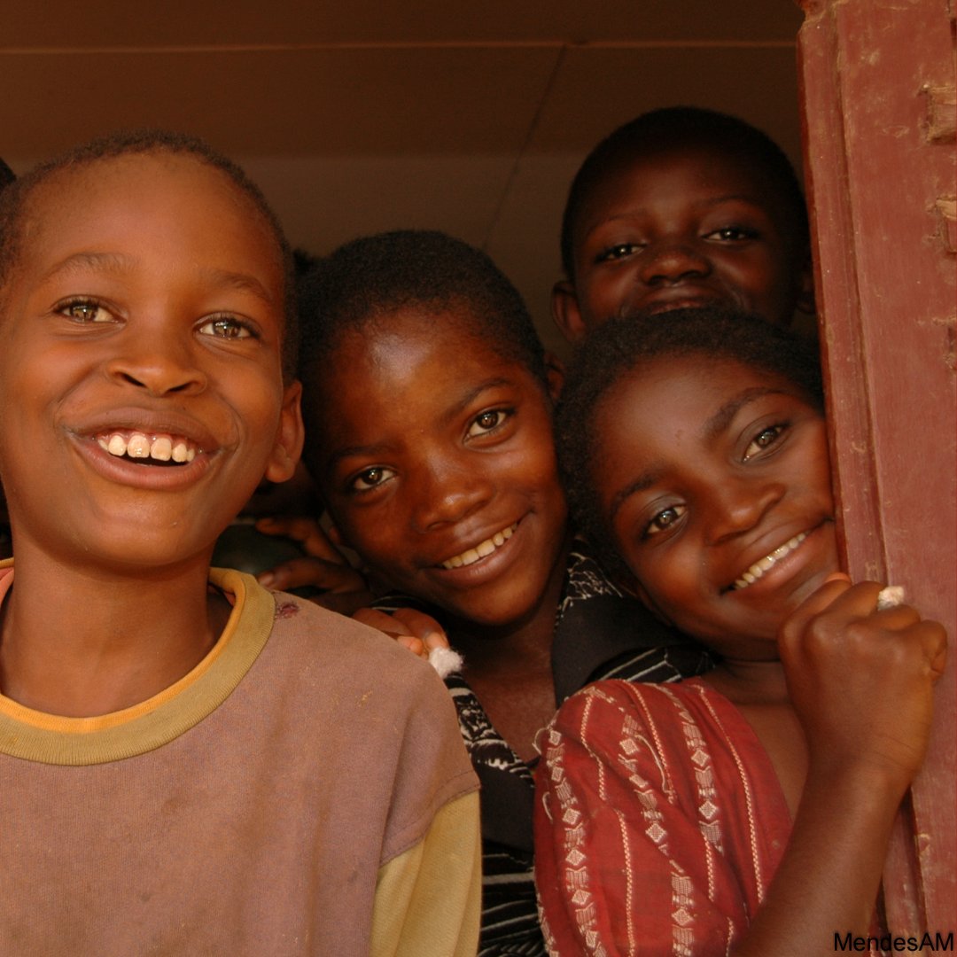 Swiss Malaria Group tweet media