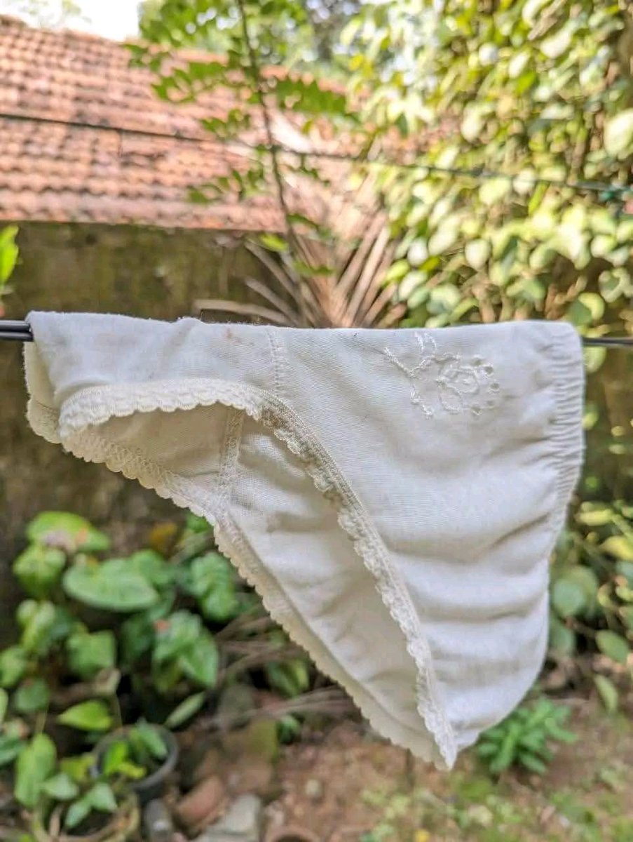 palm beach (@arorasalini) on Twitter photo 