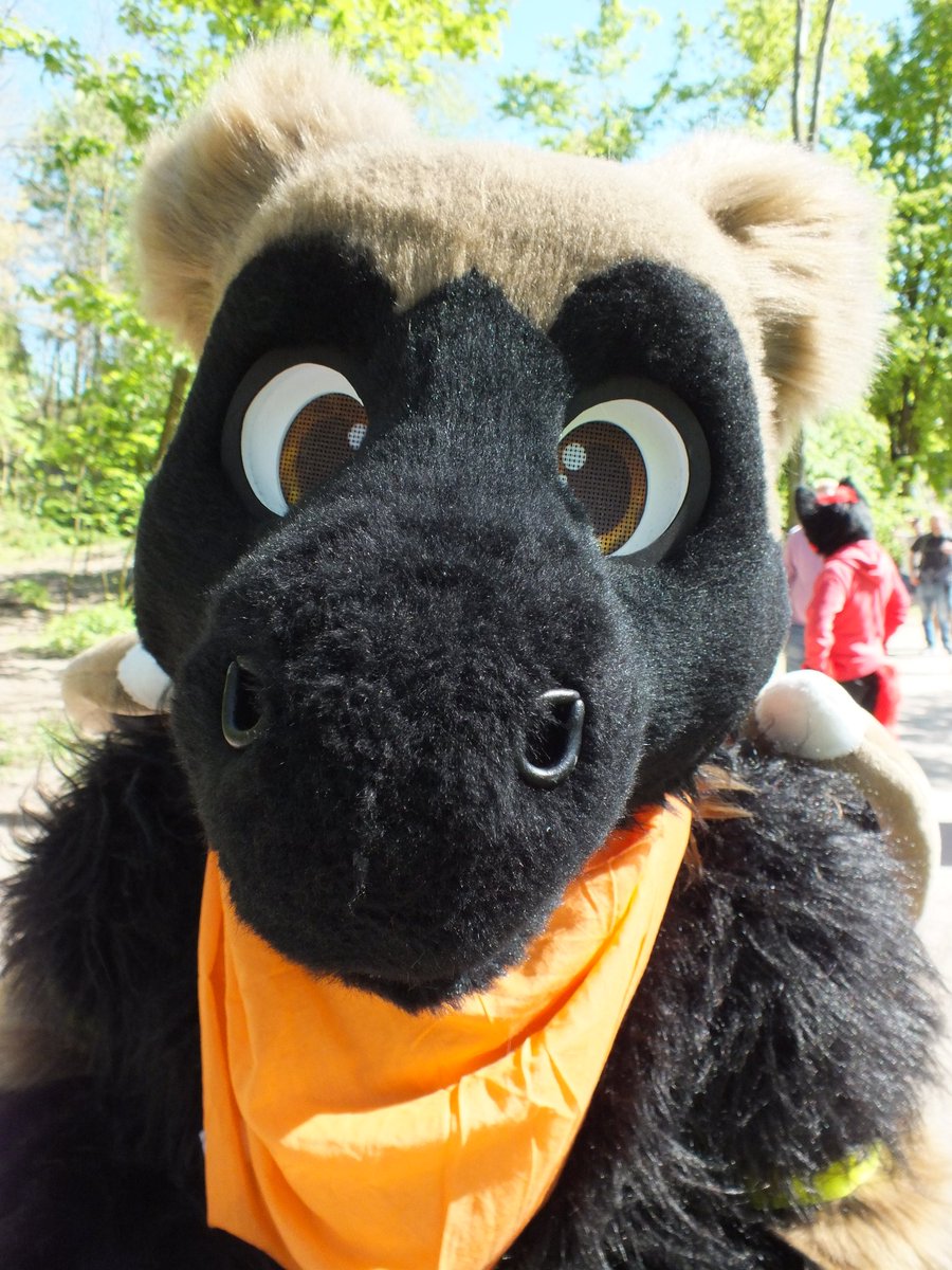 Videri Water-Icedragon (@videri_dragon) on Twitter photo Boop the snoot in
3...
2...
1...
BOOP!
Happy #FursuitFriday ๐
Swivel ๐งต by <a href="/SchneeCreations/">SchneepardiCreations</a> ๐ Boop the snoot in
3...
2...
1...
BOOP!
Happy #FursuitFriday ๐
Swivel ๐งต by <a href="/SchneeCreations/">SchneepardiCreations</a> ๐