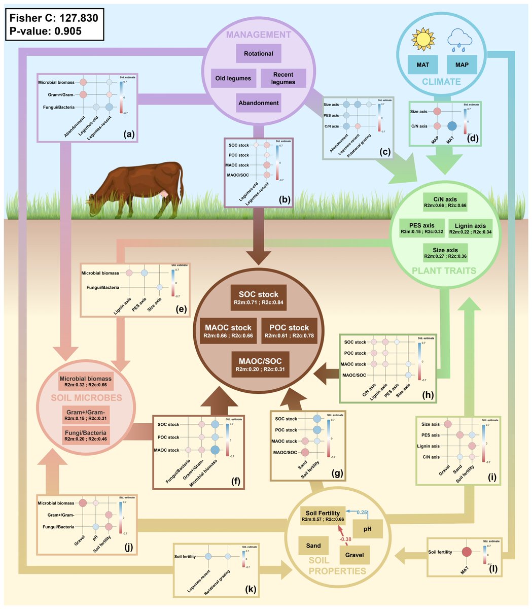 Alejandro Carrascosa (@alexcarrascosab) on Twitter photo How do management, plant traits and soil microbes influence soil carbon stocks and fractions in grasslands?
Our new article, preprinted for public discussion in <a href="/EGU_SOILjournal/">SOIL Journal</a> , unpacks the mechanisms driving carbon dynamics in semi-arid grasslands: doi.org/10.5194/egusph… How do management, plant traits and soil microbes influence soil carbon stocks and fractions in grasslands?
Our new article, preprinted for public discussion in <a href="/EGU_SOILjournal/">SOIL Journal</a> , unpacks the mechanisms driving carbon dynamics in semi-arid grasslands: doi.org/10.5194/egusph…