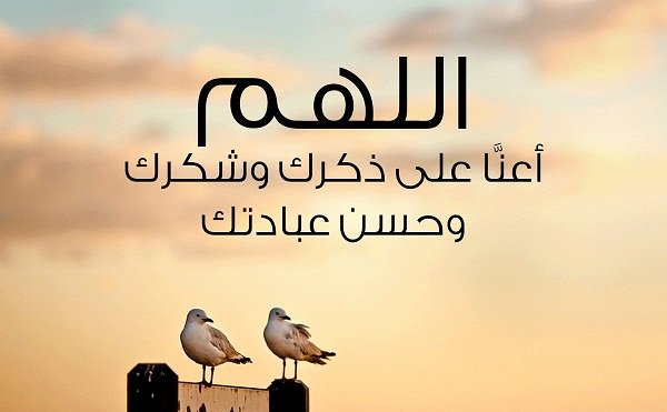 faisal tweet media