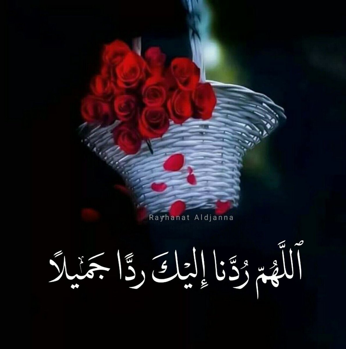 faisal tweet media