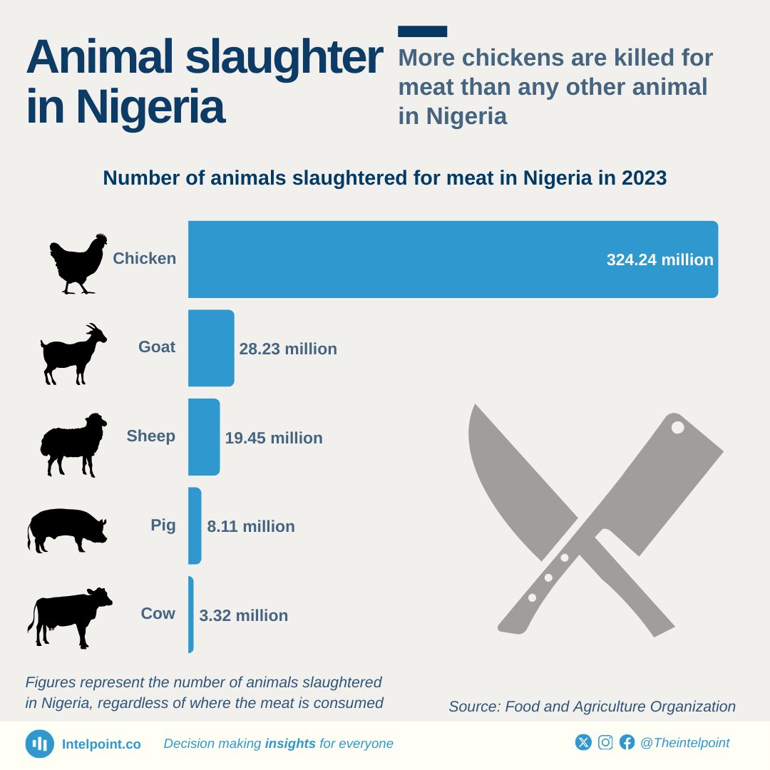 Nig_Farmer's tweet photo. #FridayFarmingFact
In 2023, Nigeria consumed
- 324m chicken
- 28m goat
- 19m sheep
- 8m pig
- 3m cattle.
The chicken is a given we all know that, but look at the consumption of pig π€
Nigeria consumes almost 3x more pig than cattle & our Muslim citizens do not eat pigs.
This data is a good way to understand the consumption pattern in relation to religion
Can we say Nigerian Christians consume more meat than Muslims?
Or pig/pork business has more players and value chain than cattle?
Would you say pig business is a better value chain than cattle?
What would you say about this data?
@TheIntelpoint data presentation is amazing, giving us insight into agriculture in Africa ππ―