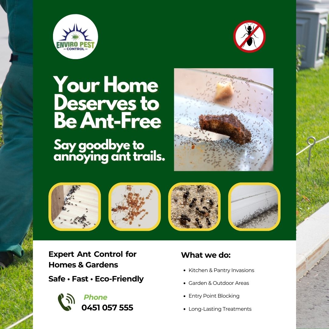 Enviro Pest Control (@PestEnviro) / Posts / X