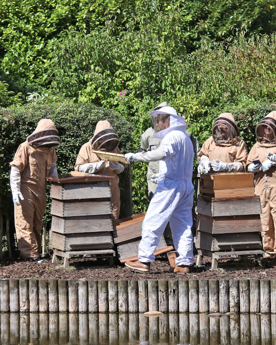 Get ready for Meet the Bees next week! Join us on Thursday 8th May, 11:30am to 2:30pm, for an engaging beekeeping session where you'll step into the captivating world of bees. 🐝 Book your spot here - shorturl.at/vseEi

#bbpevents #throwback #communityevents