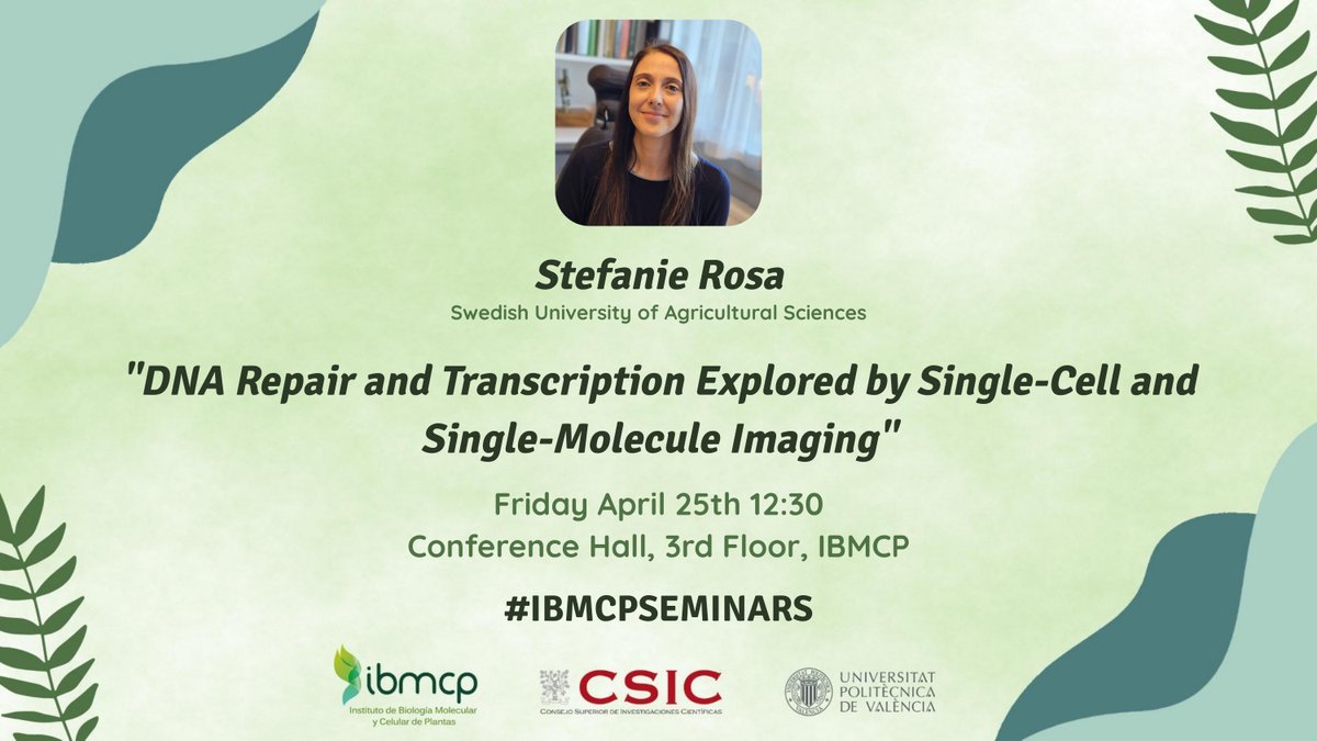 SEE YOU AT 12:30!
📍 Conference Hall, 3rd Floor, IBMCP
🔬 DNA Repair and Transcription Explored by Single-Cell and Single-Molecule Imaging
🗣️ Stefanie Rosa
#IBMCPSEMINARS
