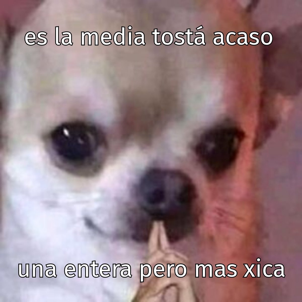 malacarasev's tweet photo. ABRAMOS ESTE MELON KE ME INDISNA https://t.co/KVLRzhJEHe
