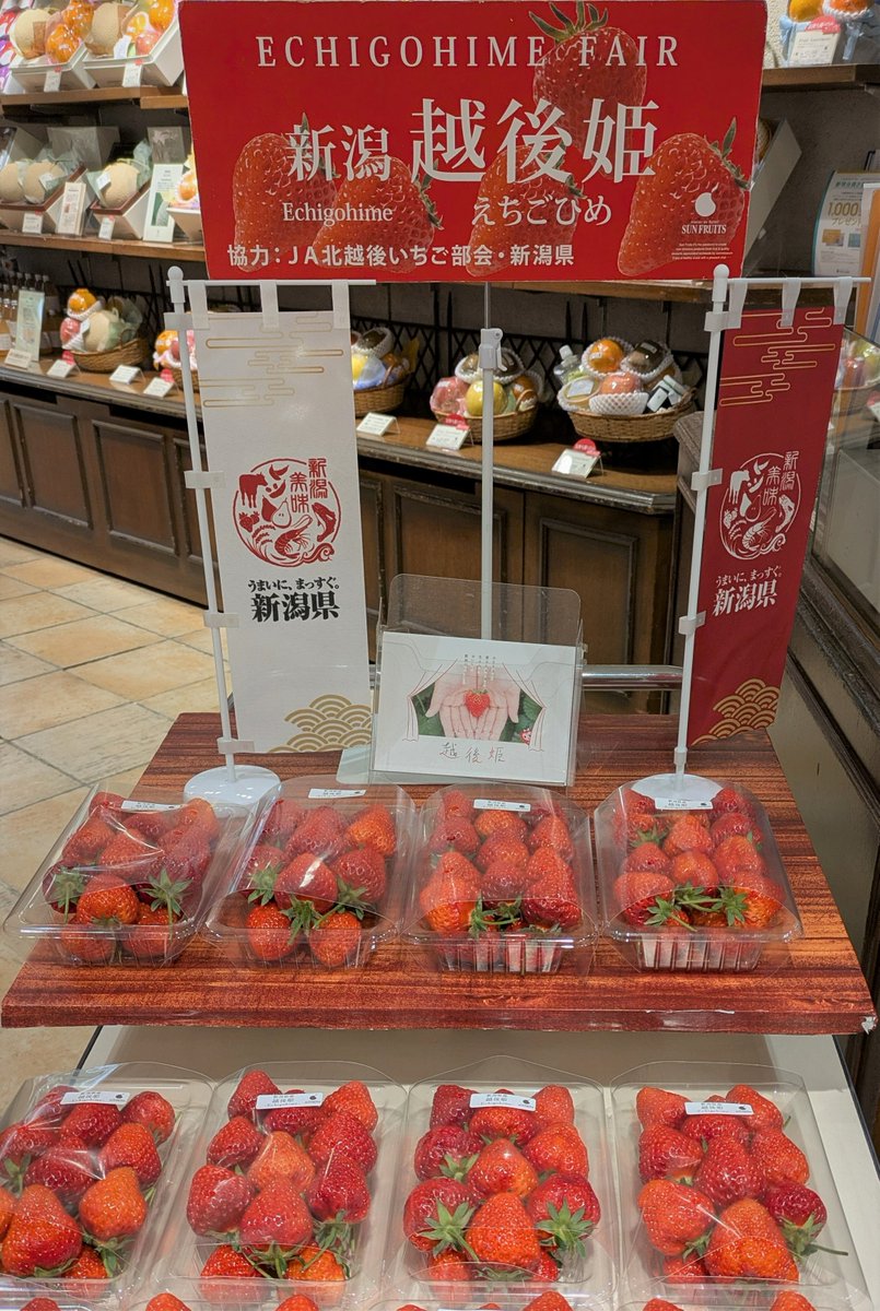 「母に贈る越後姫キャンペーン」を開催

#越後姫 で大切な人へ感謝を伝えませんか？

XまたはInstagramにて「大切な人への感謝の言葉」と共に
ハッシュタグ「#母に贈る越後姫」をつけて投稿いただくと
抽選で10名様に越後姫をプレゼント

詳細はコチラ↓
echigohime.net/2025/04/15/mot…