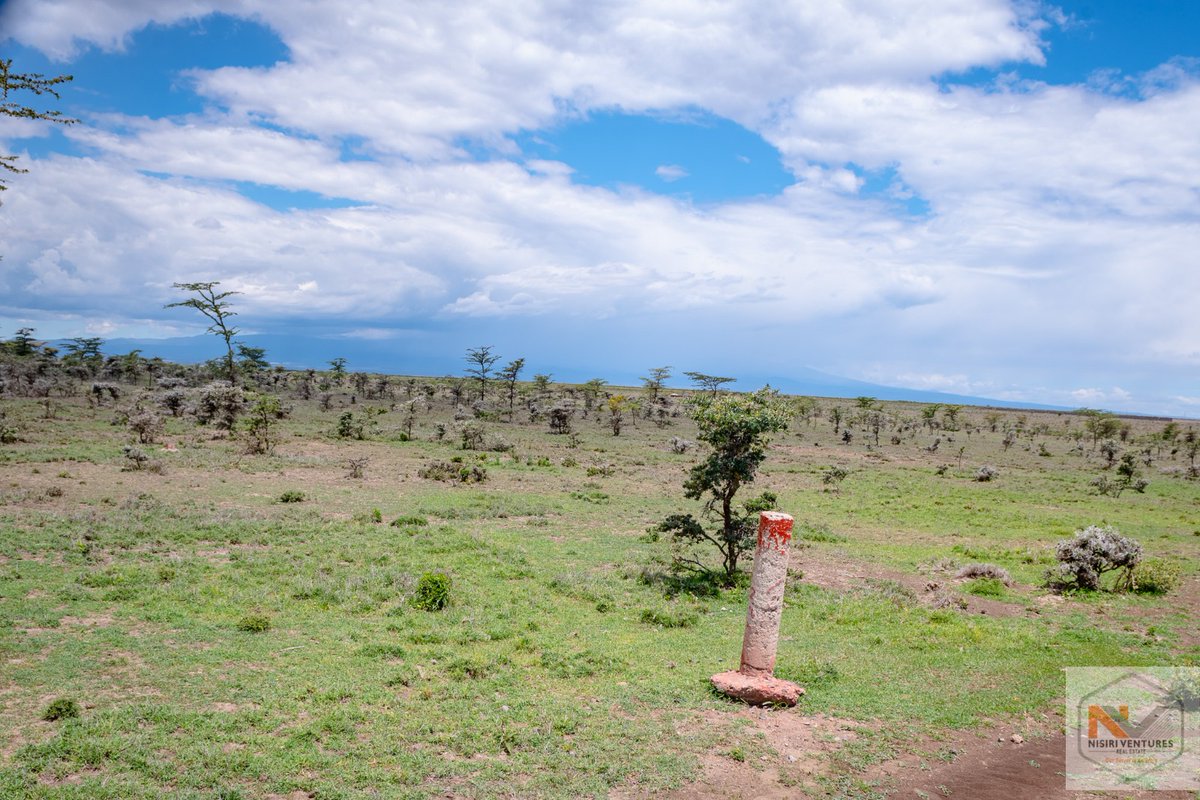 Whether you're a first-time buyer, a seasoned investor, or someone looking for a fresh start—Nisiri Gardens Ereri is where your future takes root.
✅Prime Location
✅Ready Title Deeds
✅Scenic views
✅All-weather roads

From Kes. 300K.
📞 +254 700 555 883