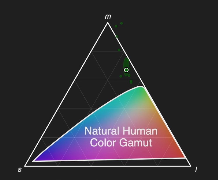 Five people have seen “olo”—a color no one else has—thanks to a new system called Oz, according to a <a href="/ScienceAdvances/">Science Advances</a> study.

Learn more in #ScienceAdviser: scim.ag/4iw67Hr
📥  Sign up for the daily #newsletter: scim.ag/49hPGM9