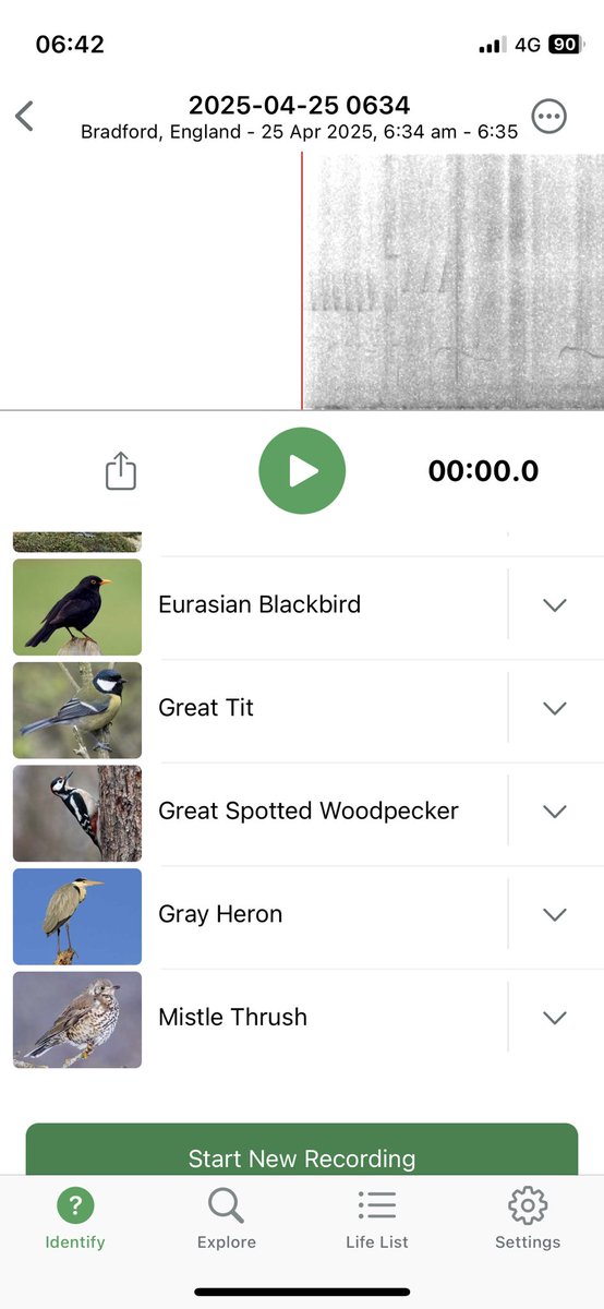Busy morning for the 🦅 in Myrtle Park <a href="/MerlinBirdID/">Merlin Bird ID</a> <a href="/Natures_Voice/">RSPB</a>