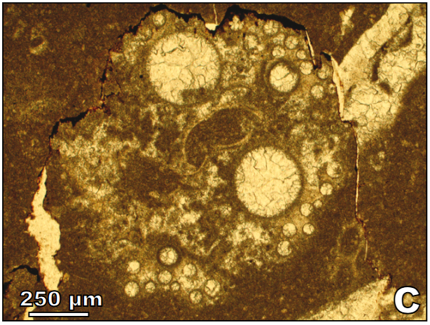 Geologica Acta (@geoacta) on Twitter photo New published manuscript: The non-marine Lower Cretaceous of El Montsec thrust sheet (South-Central Pyrenees)
C. Martín-Closas, I. Lozano-Fernández, J. Pérez-Cano, T. Bover-Arnal <a href="/IRBioUB/">IRBioUB</a> <a href="/geologiaub/">Facultat de Ciències de la Terra</a> <a href="/ICP_MCrusafont/">Institut Català de Paleontologia Miquel Crusafont</a>
Link: revistes.ub.edu/index.php/GEOA… New published manuscript: The non-marine Lower Cretaceous of El Montsec thrust sheet (South-Central Pyrenees)
C. Martín-Closas, I. Lozano-Fernández, J. Pérez-Cano, T. Bover-Arnal <a href="/IRBioUB/">IRBioUB</a> <a href="/geologiaub/">Facultat de Ciències de la Terra</a> <a href="/ICP_MCrusafont/">Institut Català de Paleontologia Miquel Crusafont</a>
Link: revistes.ub.edu/index.php/GEOA…