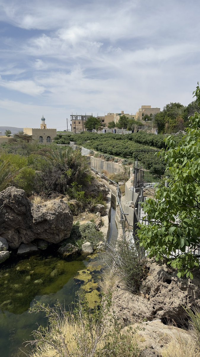الجبل الأخضر🌹