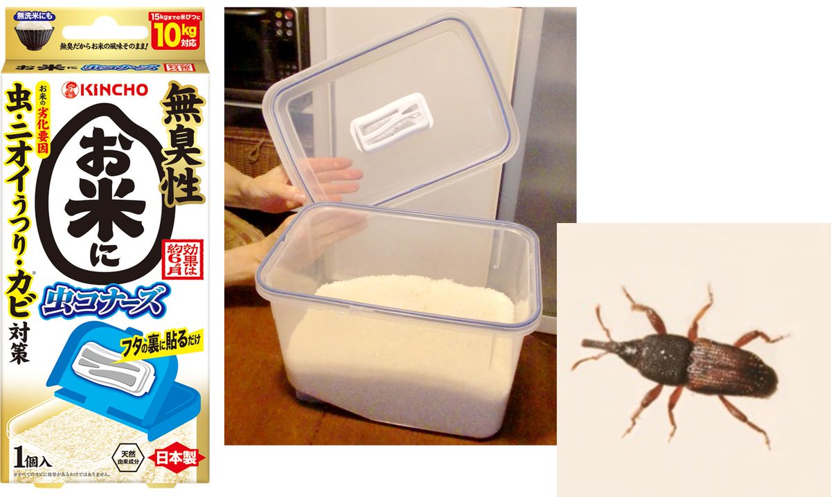 KINCHO_jp's tweet photo. お米に一匹混じっていたら、保管中に大変なことに！
コクゾウムシは１カ月で成虫になり、200個の卵を産む。お米の防虫剤を入れておこう！ https://t.co/DsX5Nomrmz