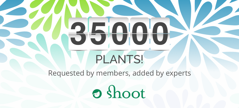 Our horticultural team have been busy adding plants to our database for our members. We’ve now added a total of 35,000! shootgardening.com/plants/a-z