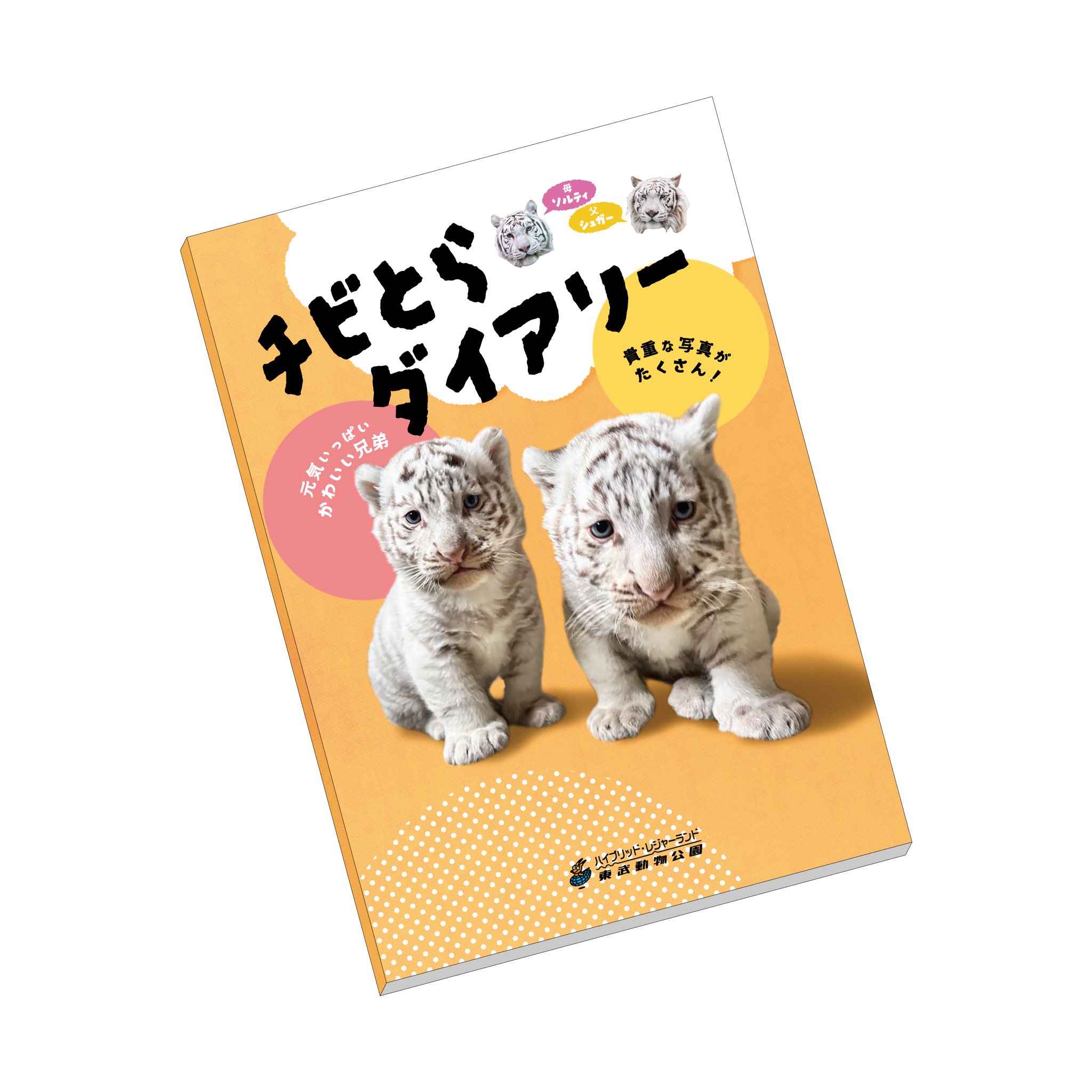 動物ブック Amazon.co.jp: シートン動物記 (昭和46年) (こども絵文庫〈22
