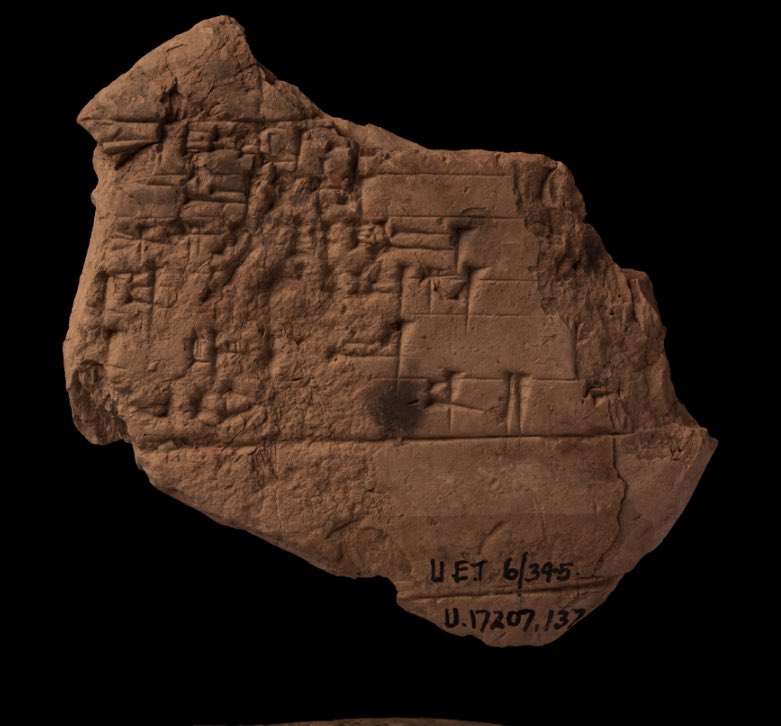 A little Sumerian riddle to brighten your day.

“When I am small, I am the child of the garden.

“When I grow, I am (on) the body of the gods.

“When I became an old person, I am the physician of the land.”

What am I?